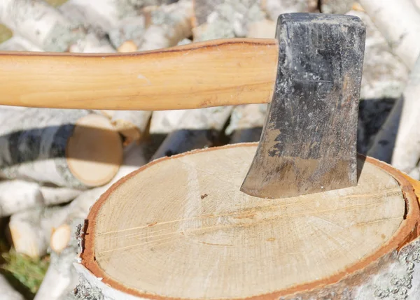 Axe in a birch log, a pile a logs in the background