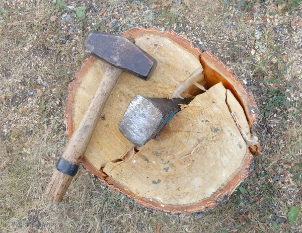 Sledgehammer Wedge Splitting Birch Log — Stock Photo, Image