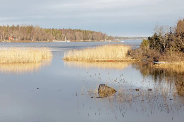 Skärgård Och Vass Reflekterar Vattnet Det Varma Morgonljuset — Stockfoto