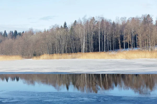 Ice and open water, forest reflecting in the water