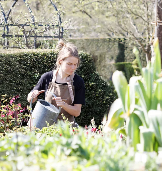 Helsingborg Sweden May 2016 Girl Working Gardener Sofiero Water Plants — Stock Photo, Image