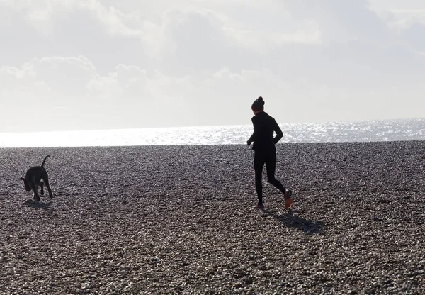 Brighton Great Britain Feb 2017 Brighton Beach Made Pebbles Morning — Stok fotoğraf