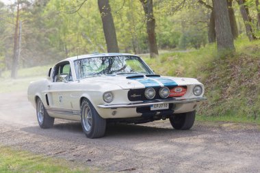 1967 sürüş bir ülke r üzerinde gelen beyaz Shelby Gt 500 klasik otomobil