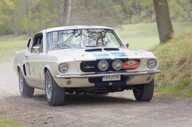 Stockholm, İsveç - 22 Mayıs 2017: 1967 sürüş ormanlarında Gardesloppet genel yarış bir ülkede yol Djurgarden, Stockholm, İsveç üzerinden beyaz Shelby Gt 500 klasik araba. 22 Mayıs 2017
