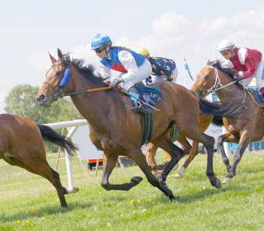 Side view of colorful jockeys riding side by side on race horses clipart