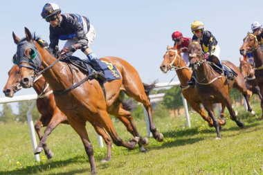 Stockholm, İsveç - 06 Haziran 2017: Zorlu mücadele arasında birçok jockeys Arap yarış atları ve seyirci Gardet'i, Nationaldags Galoppen, arka planda sürme. 6 Haziran 2017 yılında Stockholm, İsveç