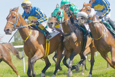Stockholm, İsveç - 06 Haziran 2017: Zorlu mücadele arasında jockeys dörtnala Arap yarış atları Gardet'i, Nationaldags Galoppen, At Binme. 6 Haziran 2017 yılında Stockholm, İsveç