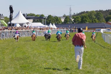 Stockholm, İsveç - Haziran 06, 2017: Dört nala at yarışı, dikiz aynası, Gardet 'deki Nationaldags Galoppen' in arka planında seyirci. 6 Haziran 2017 Stockholm, İsveç
