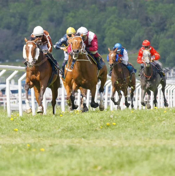 Stockholm Sweden June 2017 Tough Fight Jockeys Riding Race Horses — Stock Photo, Image