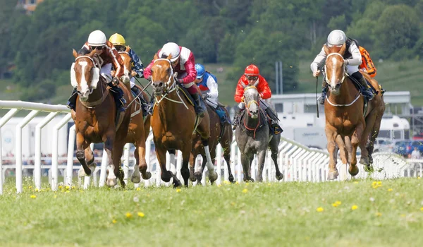 Stockholm Suède Juin 2017 Lutte Acharnée Entre Les Jockeys Chevauchant — Photo