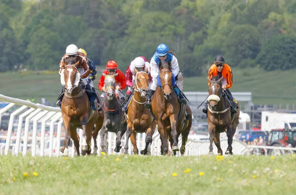 Stockholm Sweden June Tough Race Race Horses Colorful Jockeys Nationaldags — Stock Photo, Image