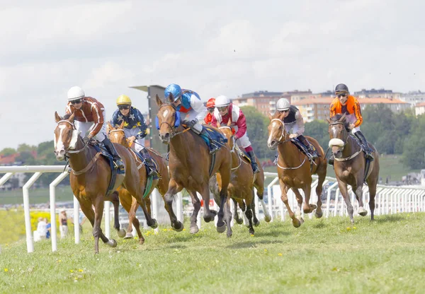 Stockholm Suécia Junho Corrida Difícil Entre Cavalos Corrida Jóqueis Coloridos — Fotografia de Stock