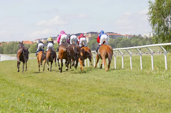 Estocolmo Suecia Junio 2017 Vista Trasera Jinetes Colores Pie Caballos —  Fotos de Stock