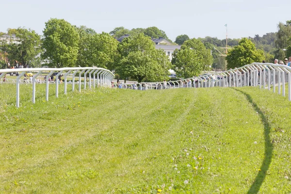 Stockholm Sweden June 2017 Gallop Horse Race Hippodrome Trees Background — 스톡 사진