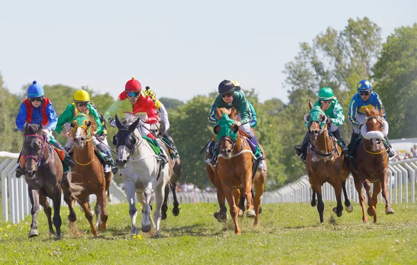 Dörtnala Arap yarış ata binerek jockeys arasında zorlu mücadele — Stok fotoğraf