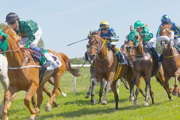 Lucha dura entre jinetes a caballo galope caballos de carreras árabes — Foto de Stock