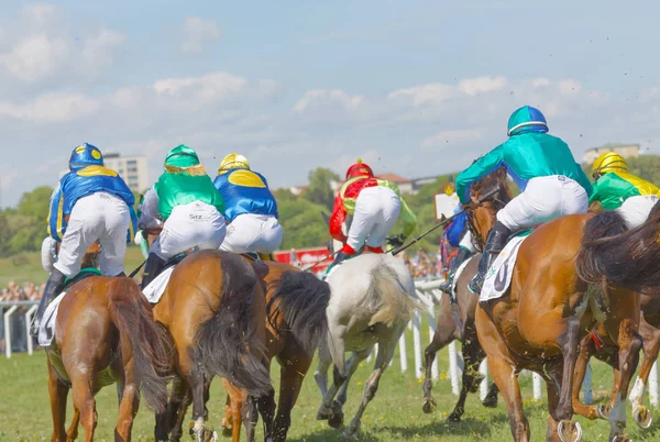 Visão traseira de jóqueis coloridos em pé em cavalos de corrida galope livrar — Fotografia de Stock