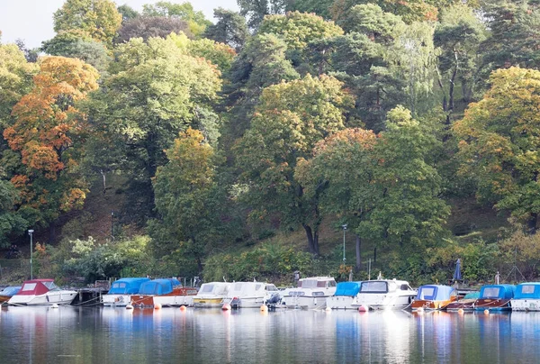 Träd och båtar som speglar sig i vattnet. Varma gröna och gula c — Stockfoto