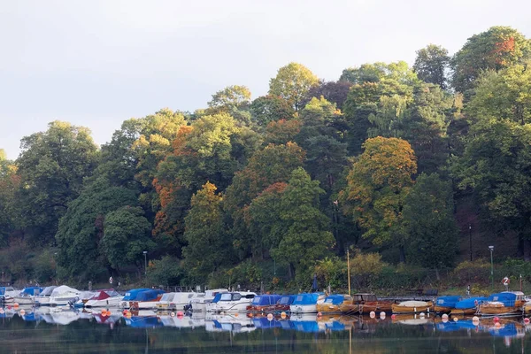 Árvores Barcos Refletindo Água Cores Quentes Verde Amarelo — Fotografia de Stock