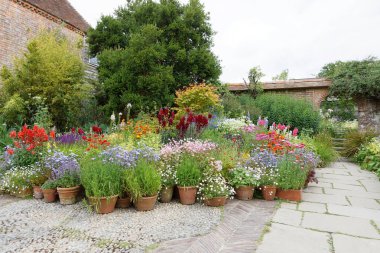 Northiam, İngiltere - Haziran 06, 2017: Saksılarda güzel çiçekler ve bitkiler, arka planda bir bina. Haziran 06, 2017 Northiam, İngiltere
