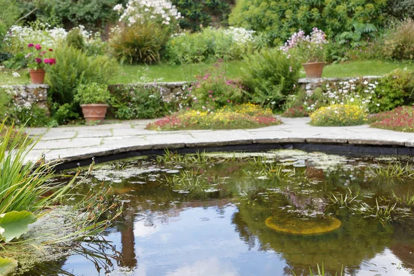 Kolam dengan bunga dan tanaman — Stok Foto