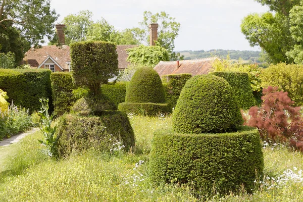 Topiary of yew trees in different shape in a garden