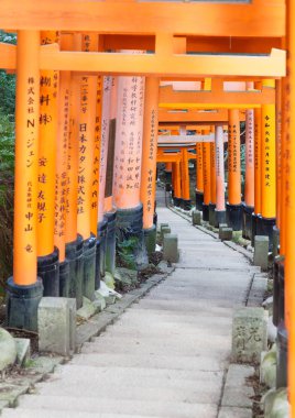 Güney Kyoto 'daki Fushimi Inari Tapınağı, binlercesi ile ünlüdür.
