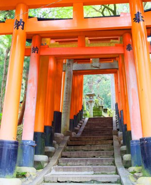 Güney Kyoto 'daki Fushimi Inari Tapınağı, binlercesi ile ünlüdür.