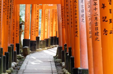 Güney Kyoto 'daki Fushimi Inari Tapınağı, binlercesi ile ünlüdür.
