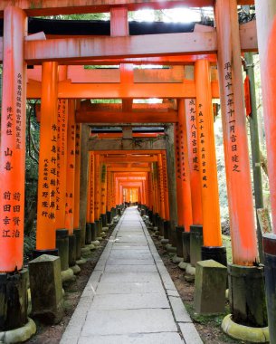 Güney Kyoto 'daki Fushimi Inari Tapınağı, binlercesi ile ünlüdür.