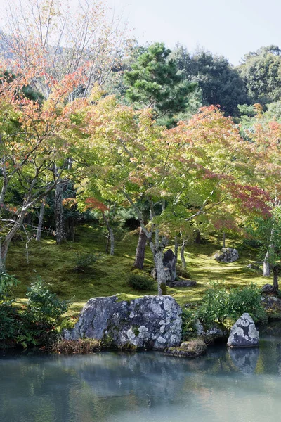 Пруд в красивом спокойном парке, полном деревьев с красными и зелеными м — стоковое фото