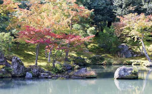 Pond in a beautiful calm park full of trees with red and green m — 스톡 사진