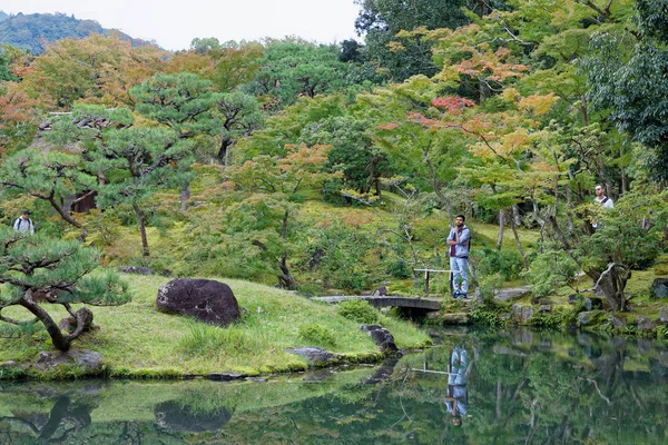 Beautiful pond in a park with red and green maple leaves during — 스톡 사진