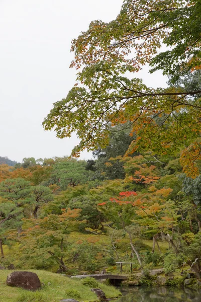 Beautiful pond in a park with red and green maple leaves during — 스톡 사진