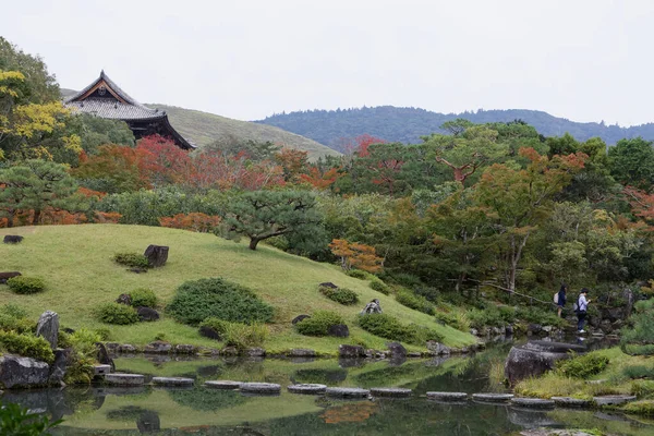 Beautiful pond and a park with red and green maple leaves during — 스톡 사진