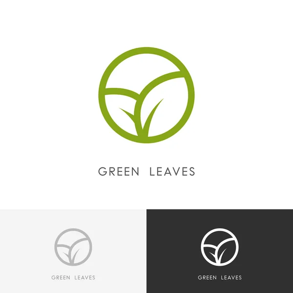Grüne Blätter umreißen Logo — Stockvektor