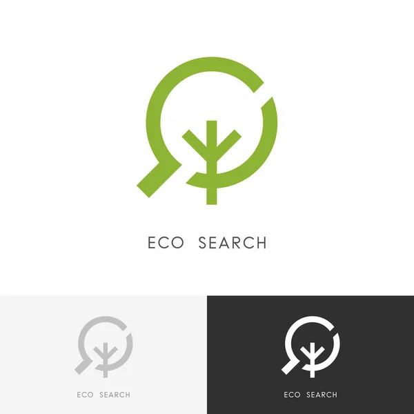 Eco Search Logo Green Plant Tree Loupe Magnifier Symbol Ecology — Stock Vector