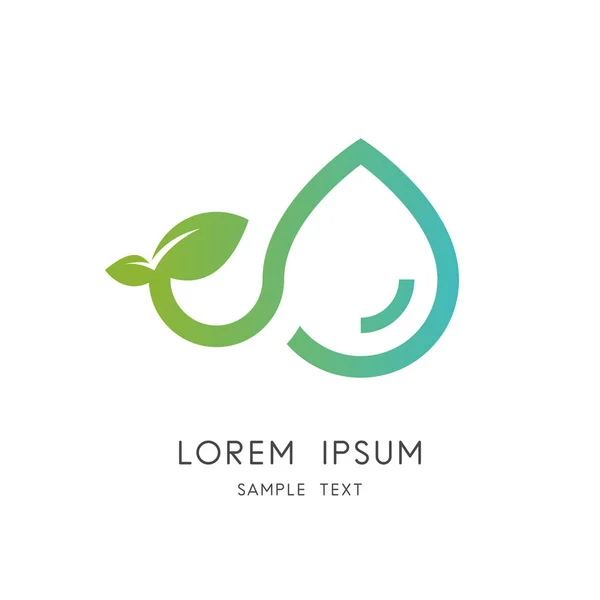 Zielone Logo Rośliny Kiełek Liśćmi Kropla Symbolu Wody Przyroda Ekologia — Wektor stockowy