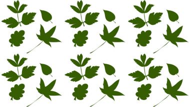 yaprakları siluetleri paterni