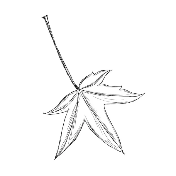 Ręcznie rysowany liść klonu — Wektor stockowy