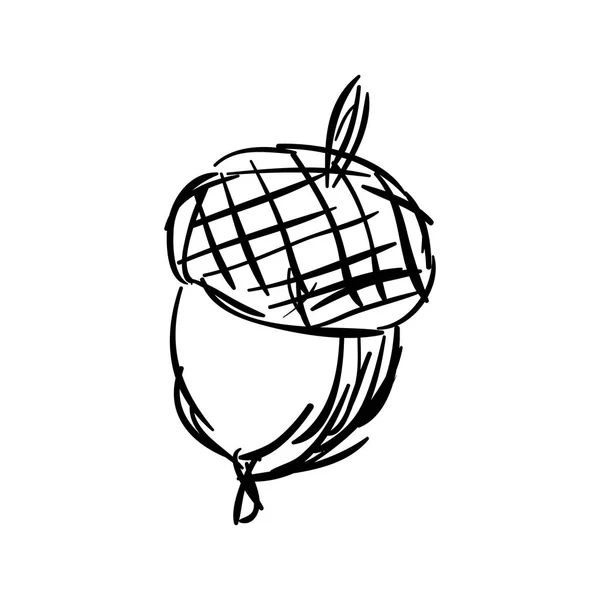 Schets van de hand getekende acorn — Stockvector