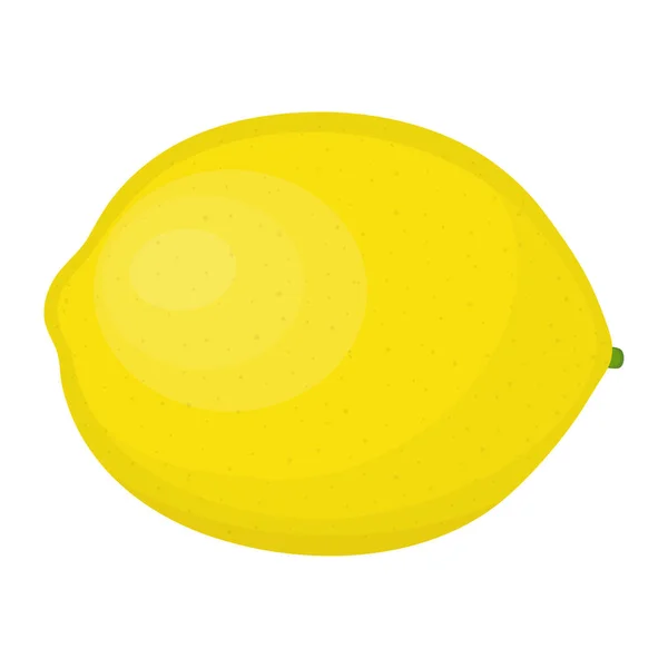 Taze sarı limon. Citrus meyvesi. Beyazda izole edilmiş. Vektör illüstrasyonu.