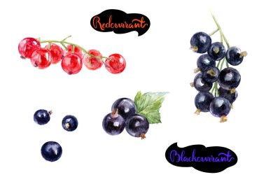 siyah ve kırmızı akımları seti