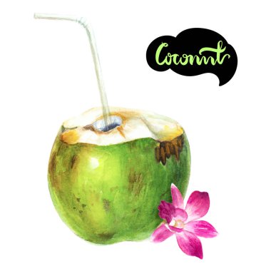 Yeşil Hindistan cevizi meyve saman içme ile