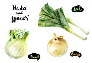 Pırasa, rezene ve soğan