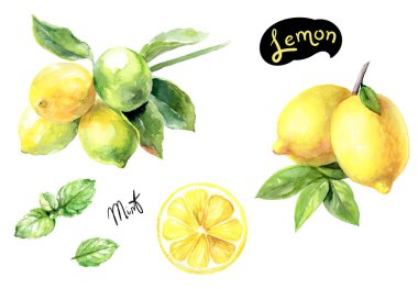 Limon ve nane seamless modeli