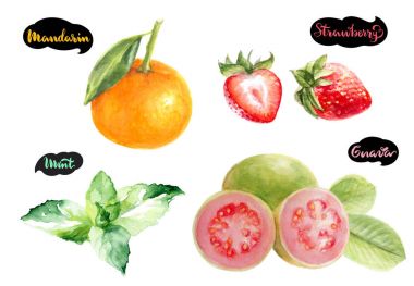 guava, nane, çilek ve mandarin