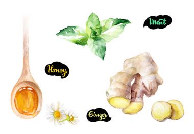 Bal Ayı'yı illüstrasyon 