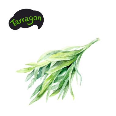 Tarhun ot izole