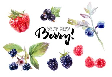 Çilek sulu boya seti 